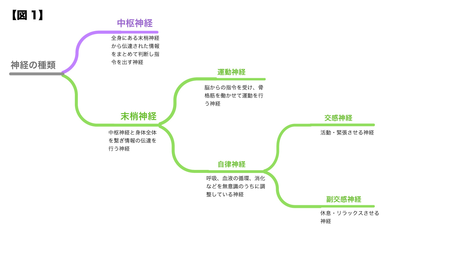 ichach_saunea_230825-1